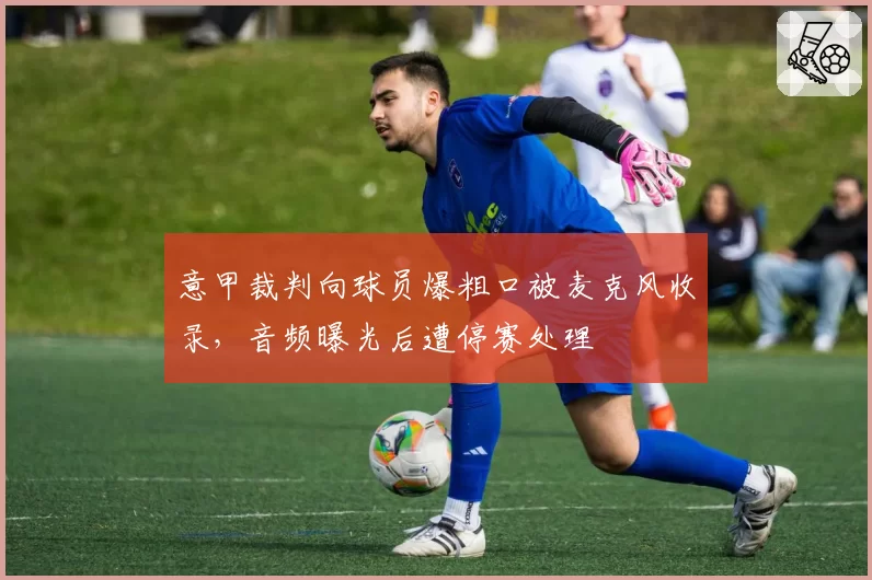 意甲裁判向球员爆粗口被麦克风收录,音频曝光后遭停赛处理