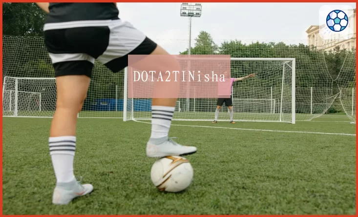 DOTA2TINisha