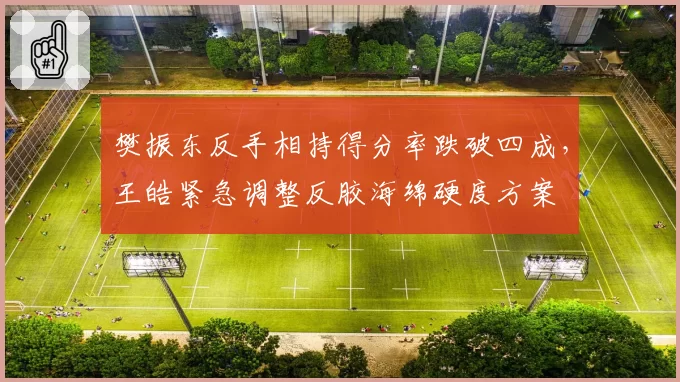 樊振东反手相持得分率跌破四成,王皓紧急调整反胶海绵硬度方案