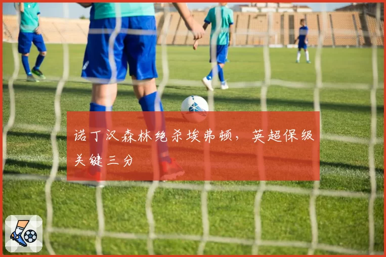 诺丁汉森林绝杀埃弗顿,英超保级关键三分