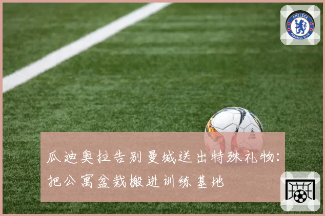瓜迪奥拉告别曼城送出特殊礼物:把公寓盆栽搬进训练基地