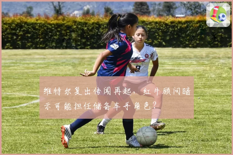 维特尔复出传闻再起,红牛顾问暗示可能担任储备车手角色?