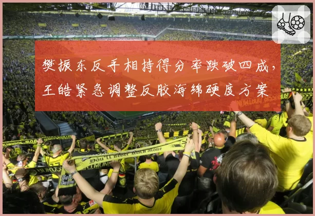 樊振东反手相持得分率跌破四成,王皓紧急调整反胶海绵硬度方案