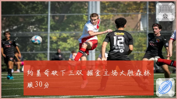 约基奇砍下三双 掘金主场大胜森林狼30分