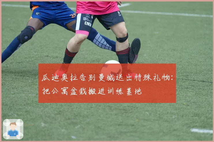 瓜迪奥拉告别曼城送出特殊礼物:把公寓盆栽搬进训练基地