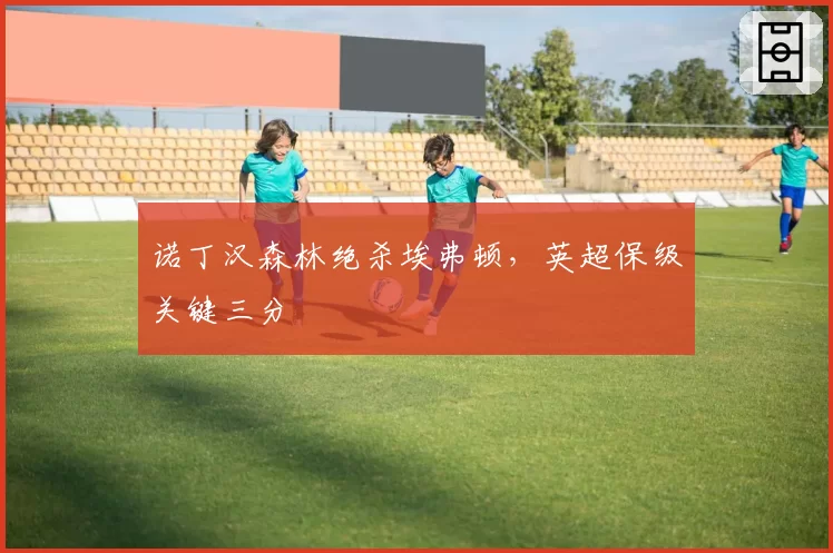 诺丁汉森林绝杀埃弗顿,英超保级关键三分